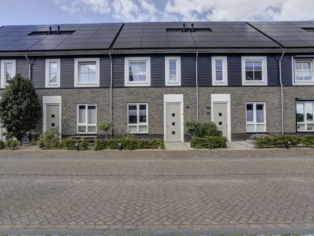 Foto van Blauwbleuren 8