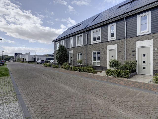 Foto van Blauwbleuren 8