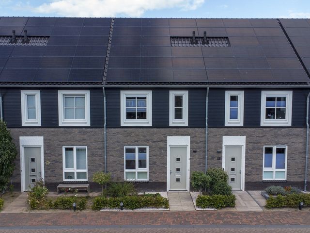 Foto van Blauwbleuren 8