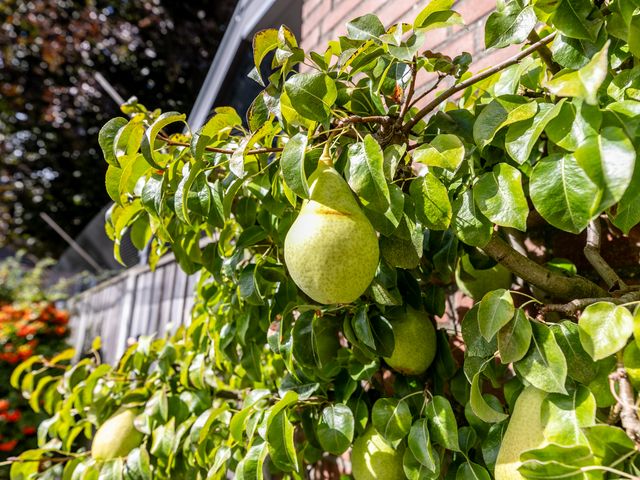 Foto van De Savornin Lohmanlaan 4