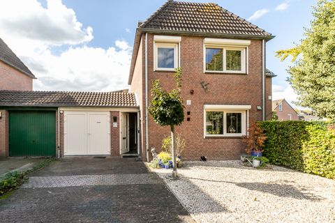 De Savornin Lohmanlaan 4