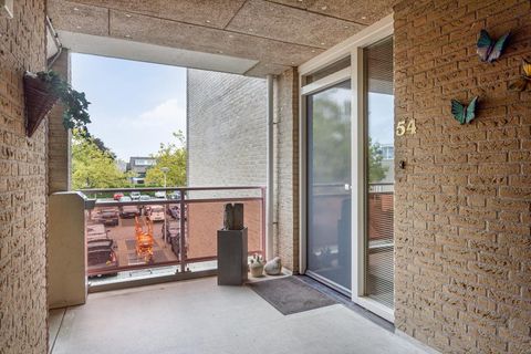 Hugo de Grootstraat 54