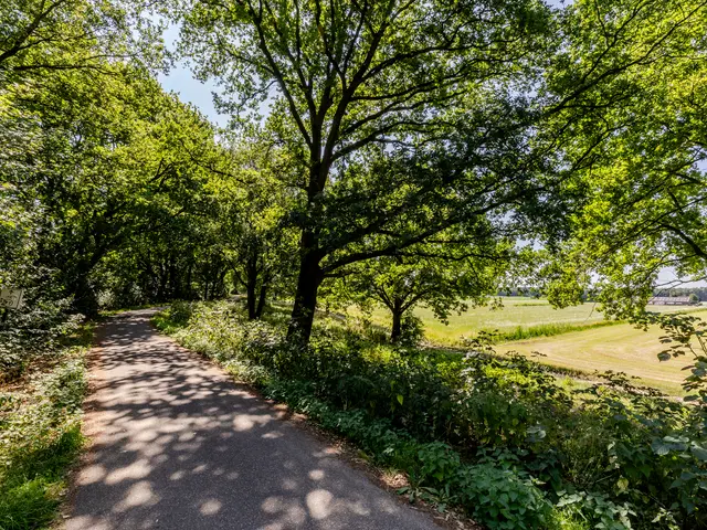Foto van Donauring 227