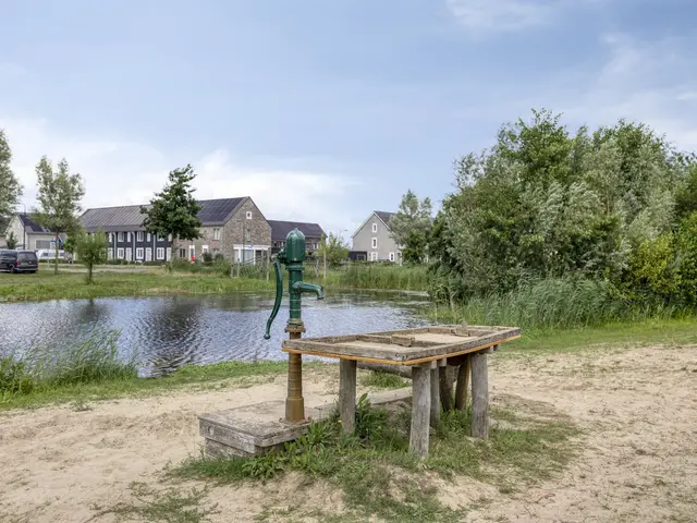 Foto van Haagwinde 6