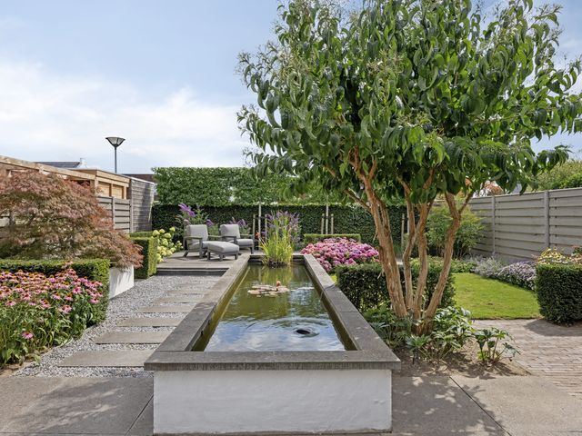 Foto van Haagwinde 6