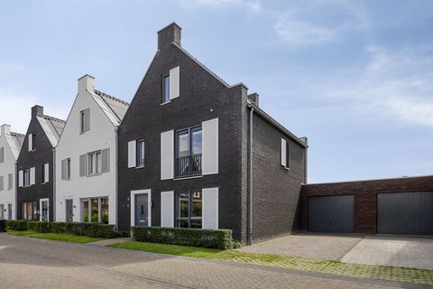 Haagwinde 6