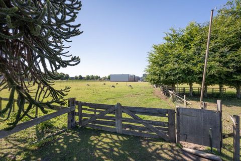 Nieuwkuijksestraat 48