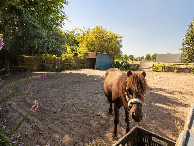 Foto van Nieuwkuijksestraat 48