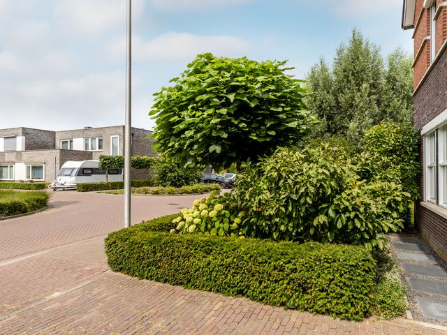 Foto van Laan van Oceanië 36