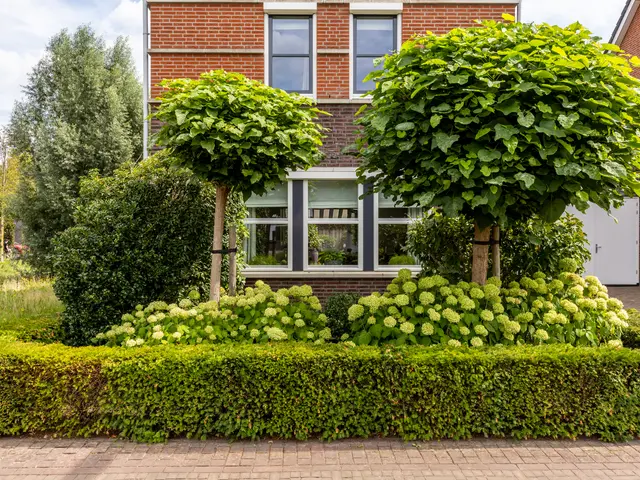 Foto van Laan van Oceanië 36