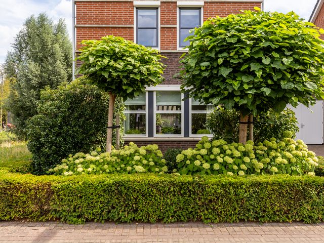 Foto van Laan van Oceanië 36