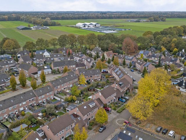 Foto van Rijnring 113