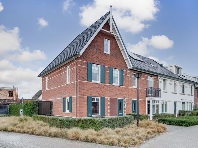 Foto van Oranje zegge 13