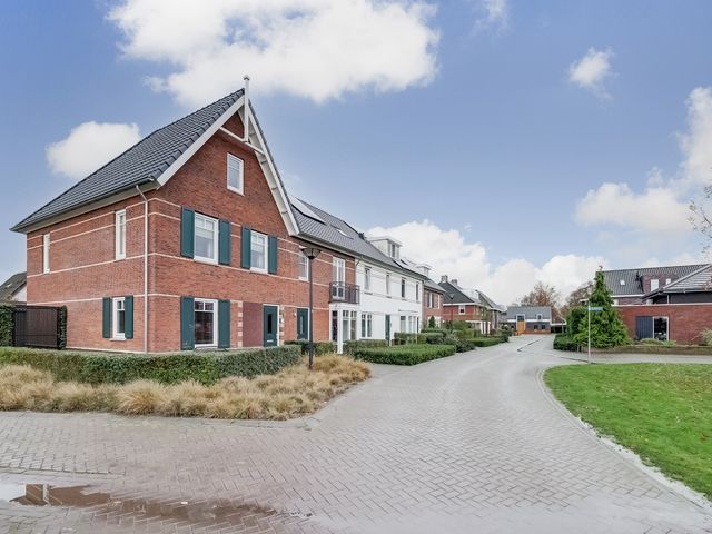 Foto van Oranje zegge 13