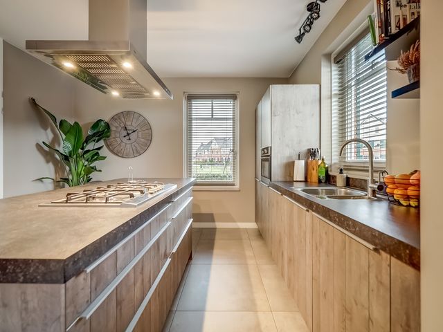 Foto van Oranje zegge 13