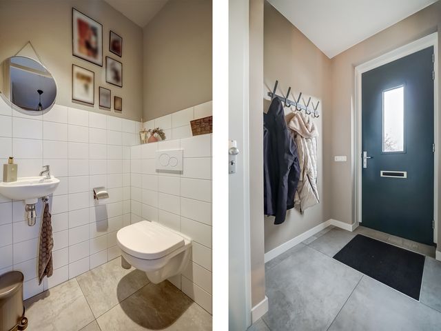 Foto van Oranje zegge 13