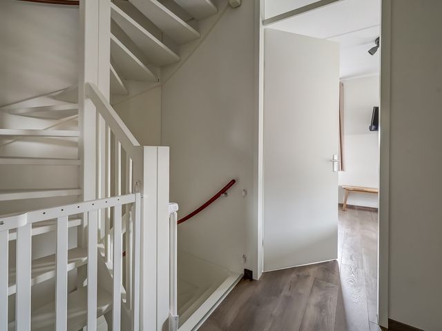 Foto van Oranje zegge 13