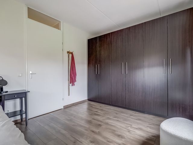 Foto van Oranje zegge 13