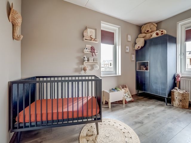 Foto van Oranje zegge 13