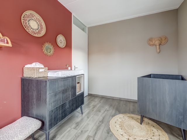 Foto van Oranje zegge 13