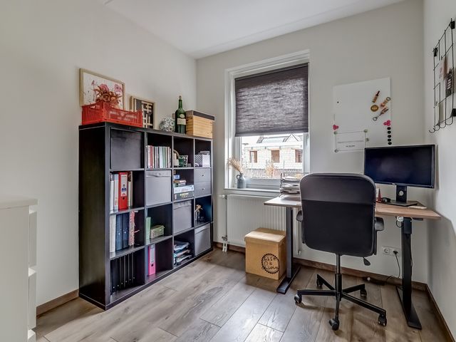 Foto van Oranje zegge 13