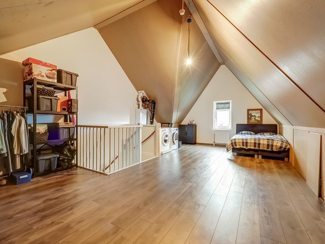 Foto van Oranje zegge 13