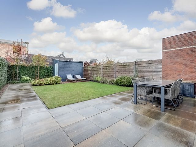 Foto van Oranje zegge 13