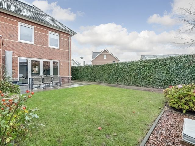 Foto van Oranje zegge 13