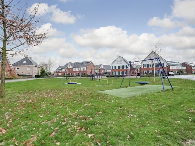 Foto van Oranje zegge 13