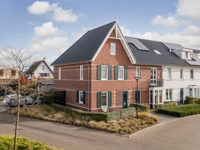 Foto van Oranje zegge 13