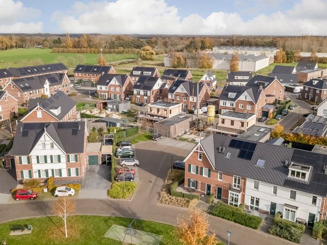 Foto van Oranje zegge 13