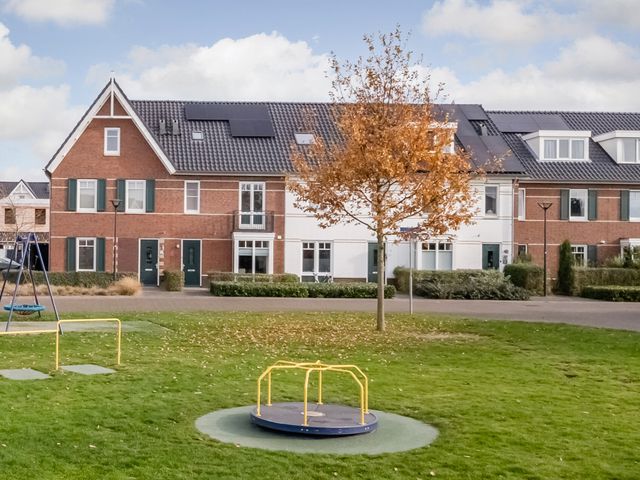 Foto van Oranje zegge 13