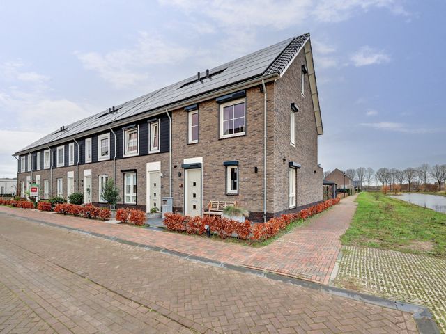 Foto van Blauwbleuren 2