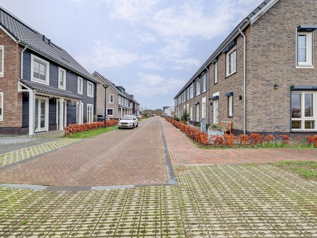 Foto van Blauwbleuren 2