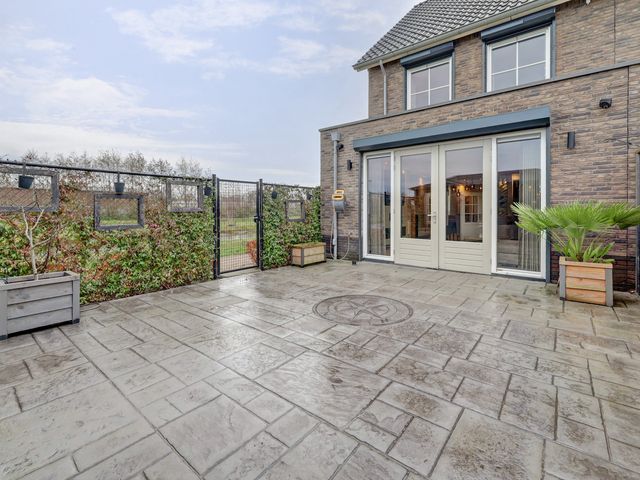 Foto van Blauwbleuren 2