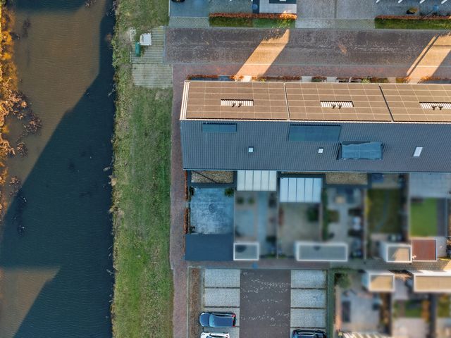 Foto van Blauwbleuren 2