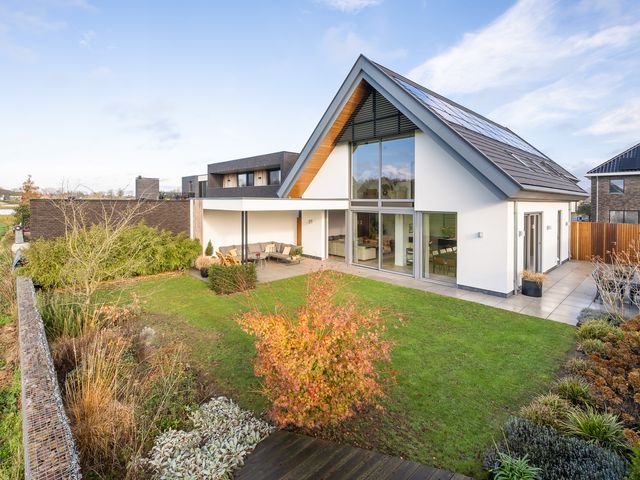 Foto van Zilverkarper 13