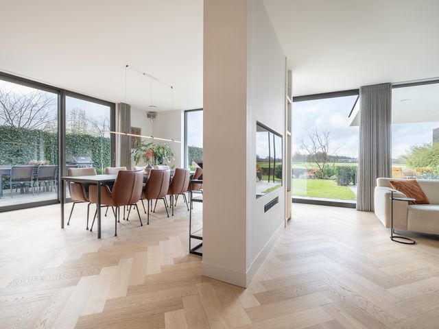 Foto van Zilverkarper 13