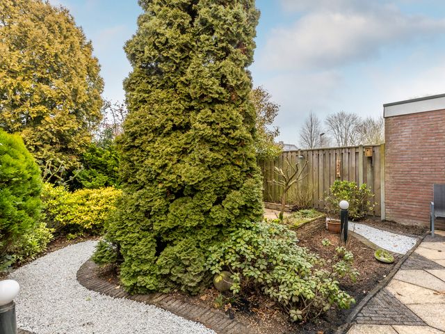 Foto van Sternlaan 44