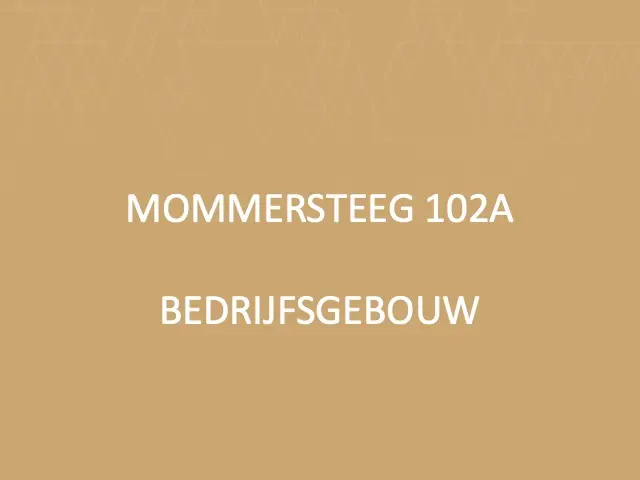 Foto van Mommersteeg 102