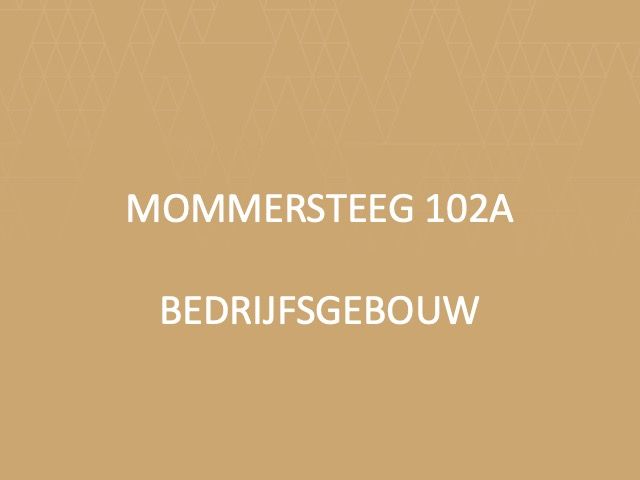 Foto van Mommersteeg 102