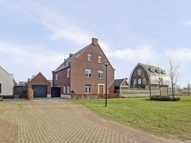 Foto van Zilverkarper 4