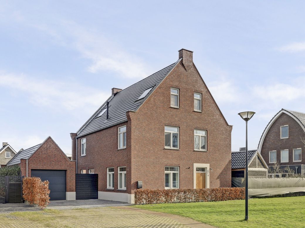 Foto van Zilverkarper 4