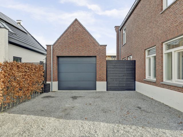 Foto van Zilverkarper 4