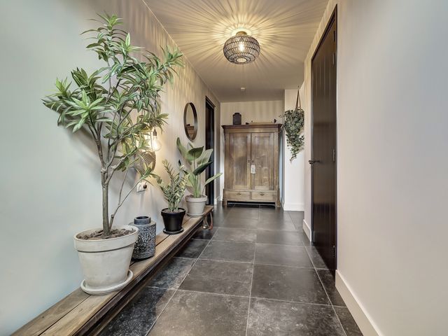 Foto van Zilverkarper 4