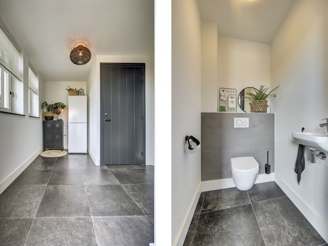 Foto van Zilverkarper 4