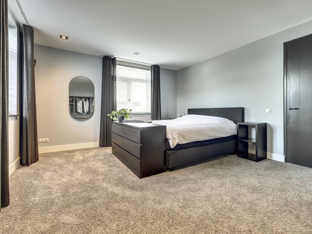 Foto van Zilverkarper 4