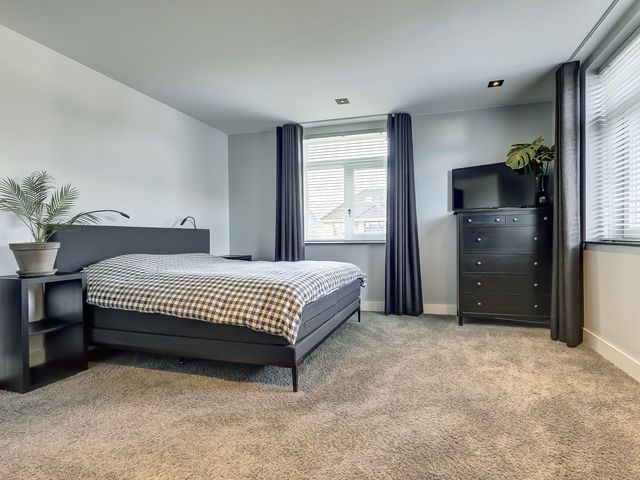 Foto van Zilverkarper 4