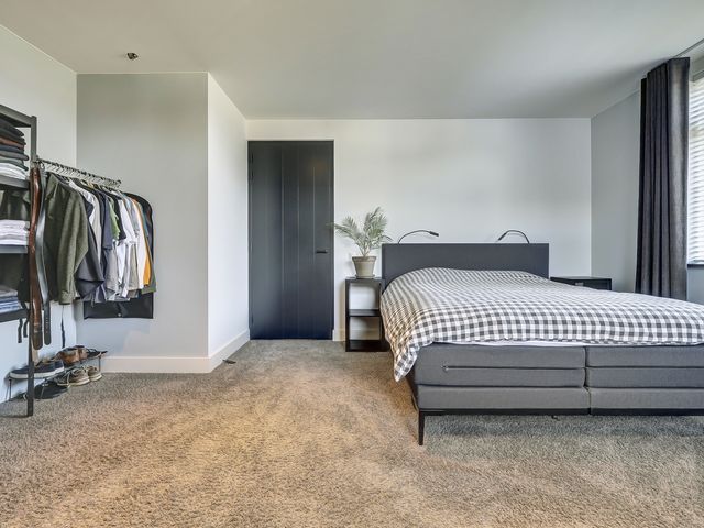 Foto van Zilverkarper 4