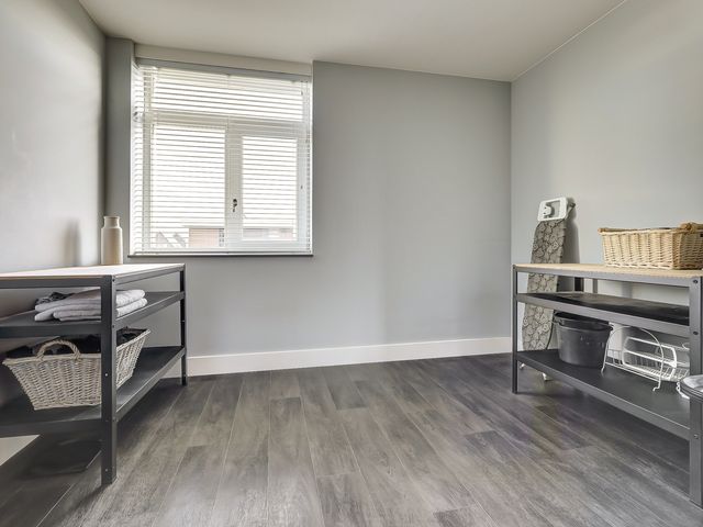 Foto van Zilverkarper 4